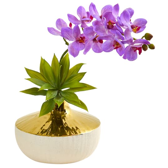 Michaels, 12" Moth Orchid & Agave Arrangement in Decorative Vase – Category: Tabletop Floral Arrangements